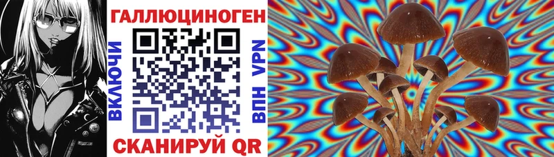 Галлюциногенные грибы MAGIC MUSHROOMS  купить   Зеленоградск 